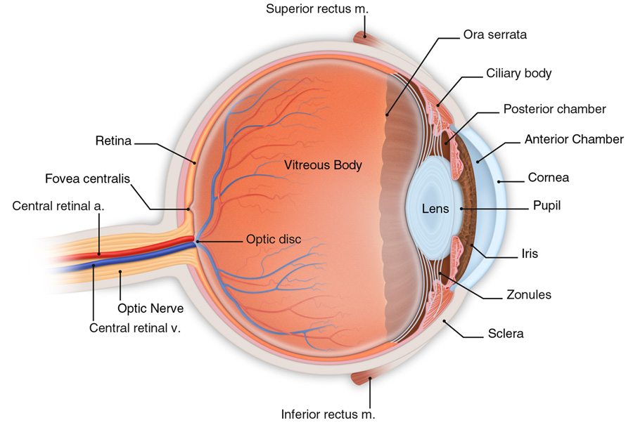 hogyan lehet gyógyítani a látást mínusz 9